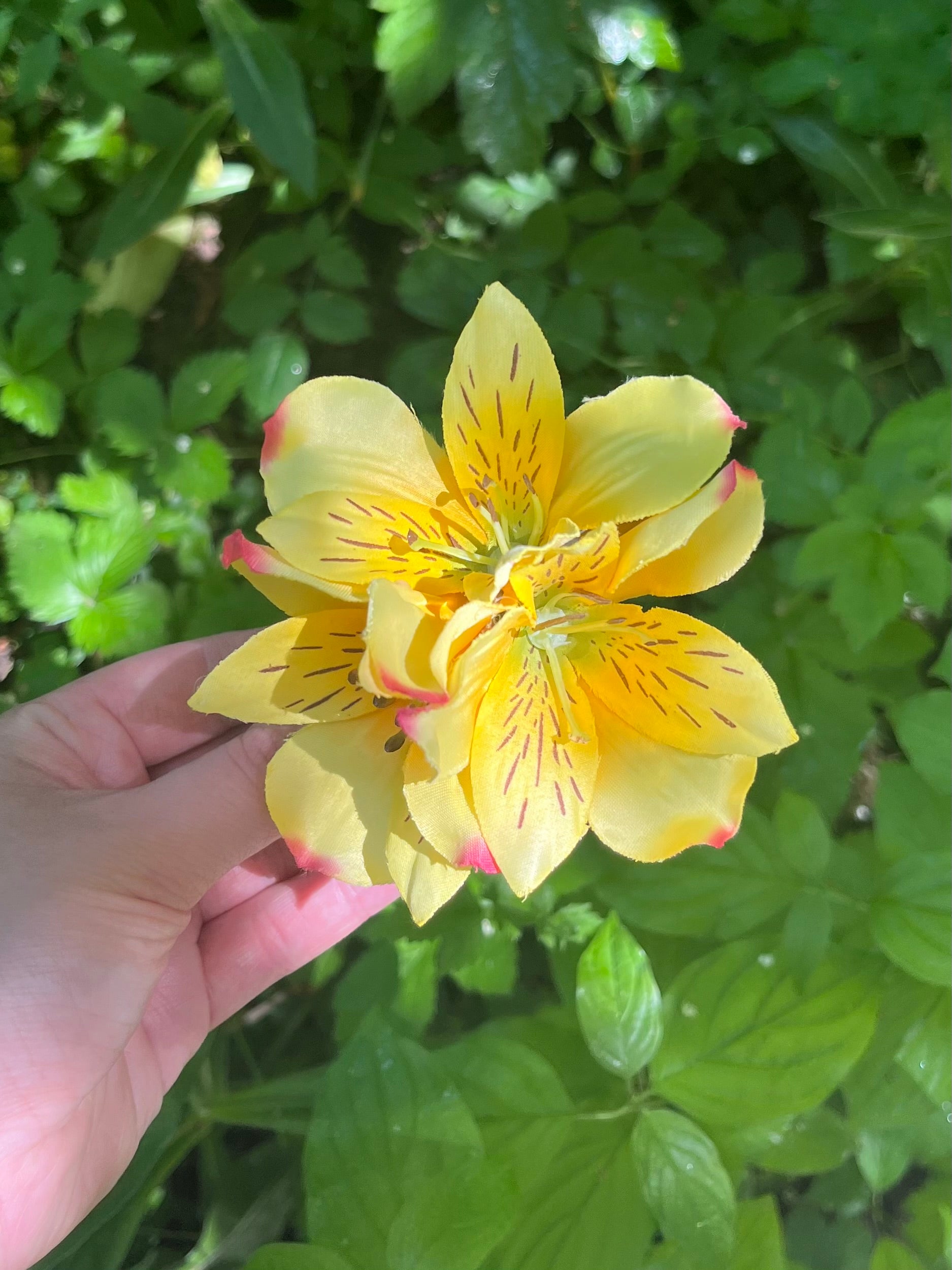 YELLOW INCALILY HAARKLAMMER