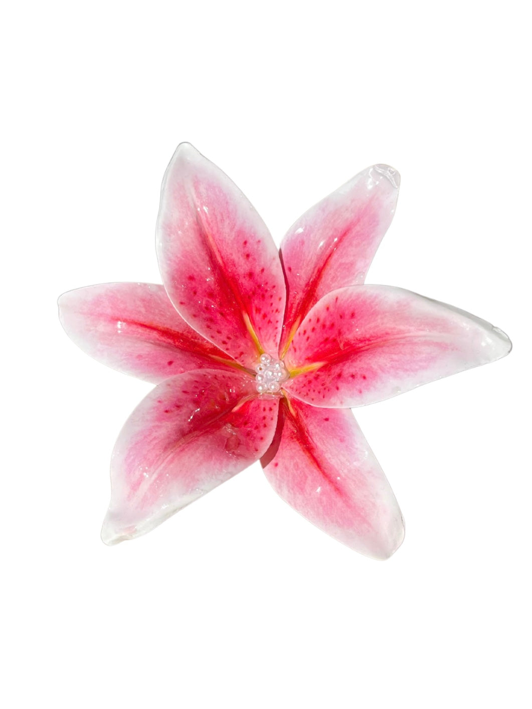 LILY CHIC HAARKLAMMER