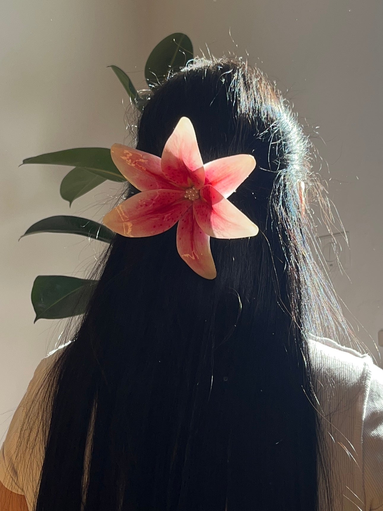 LILY CHIC HAARKLAMMER