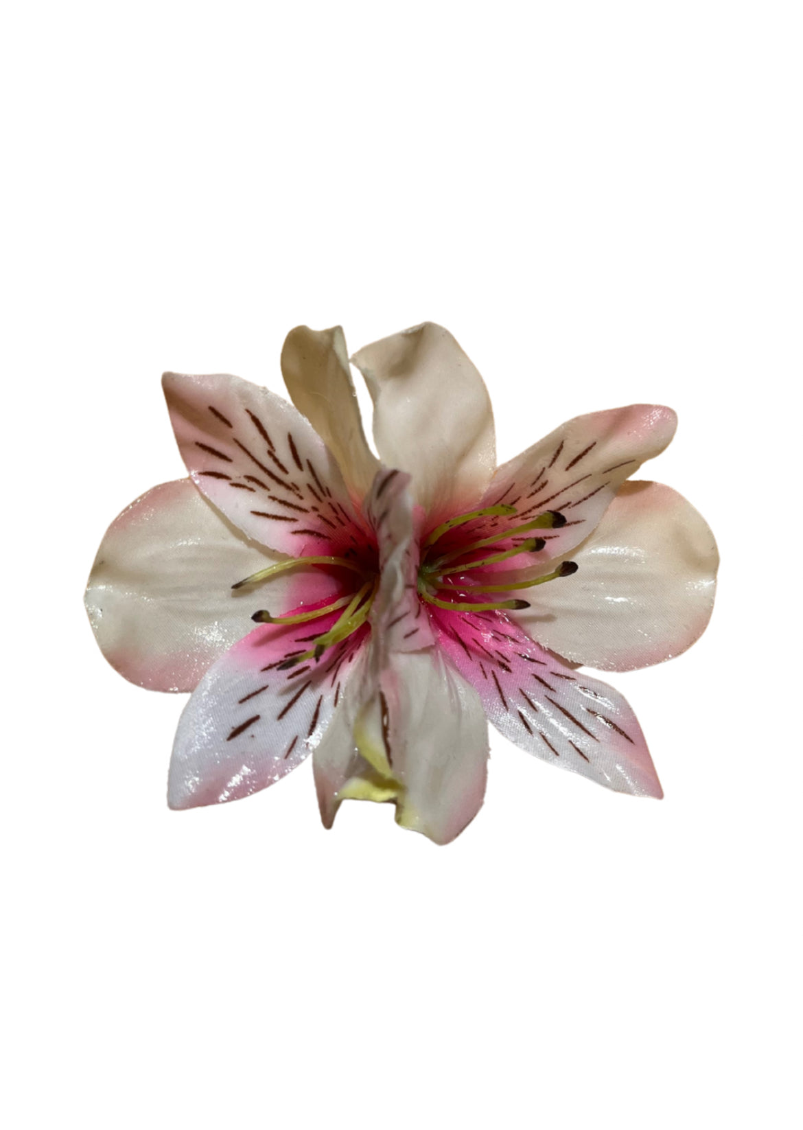 BLUSH INCALILY HAARKLAMMER