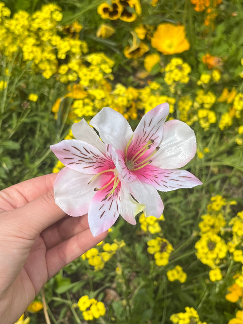 BLUSH INCALILY HAARKLAMMER