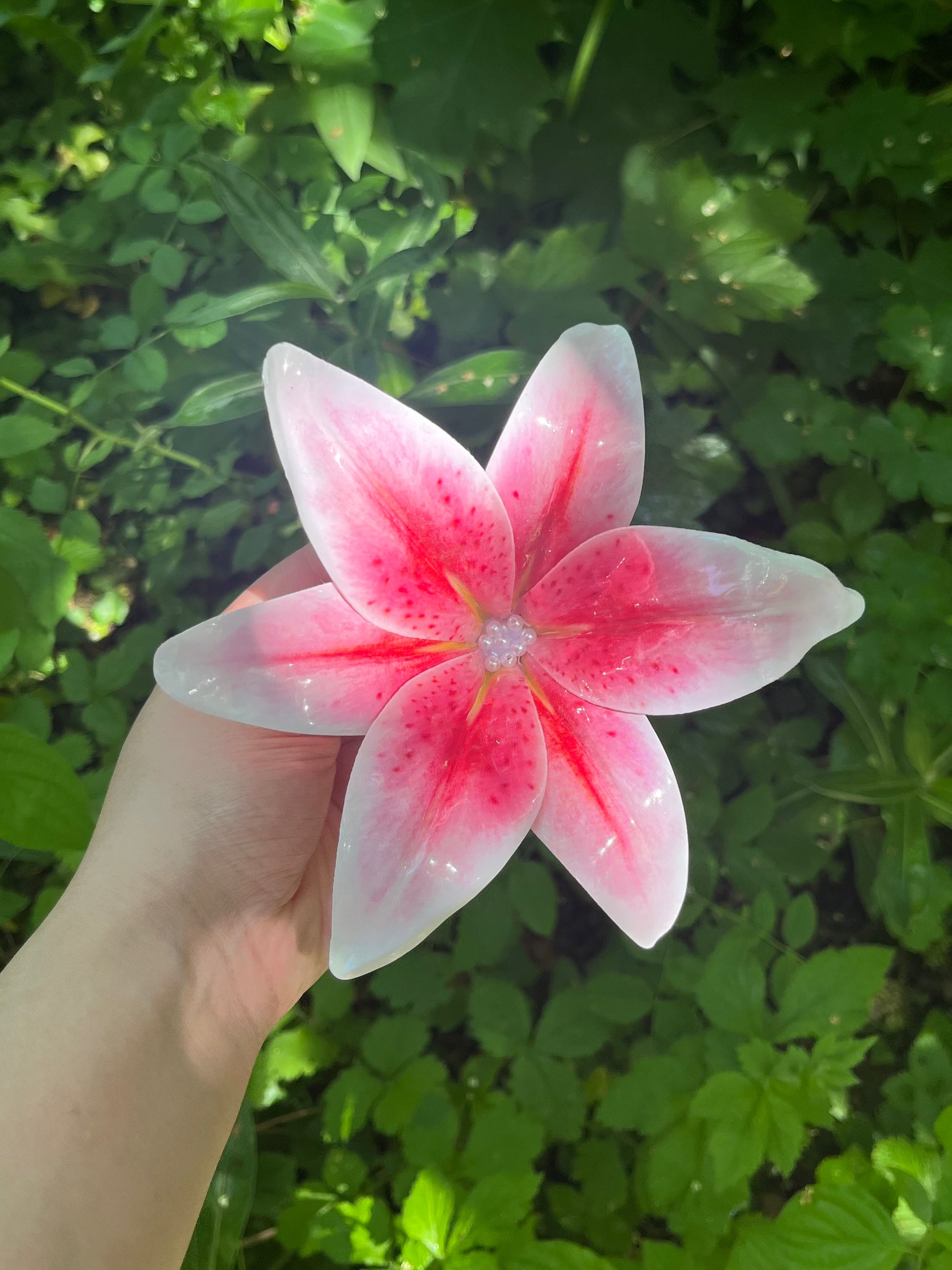 LILY CHIC HAARKLAMMER