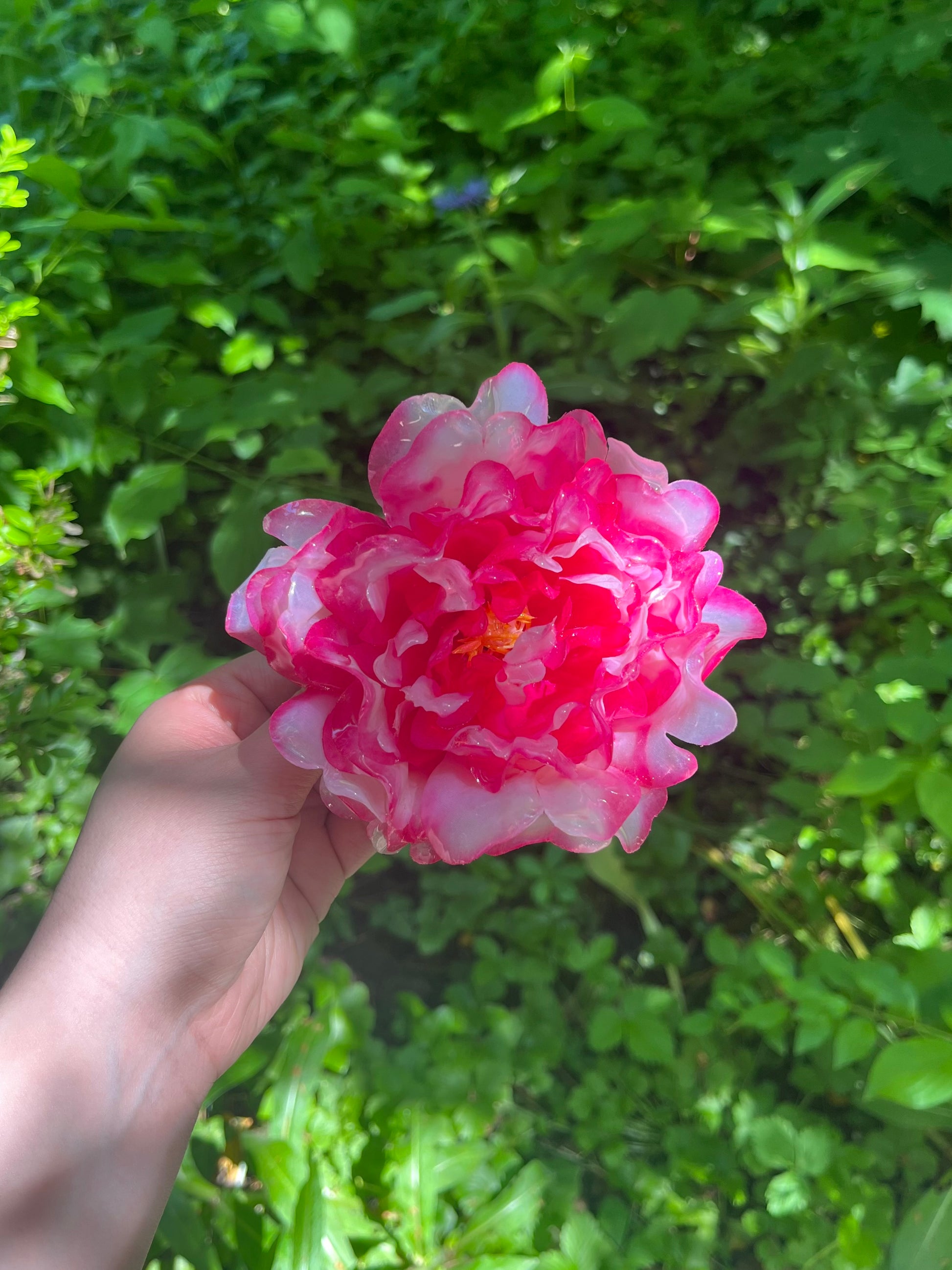 PEONIES SEASON HAARKLAMMER
