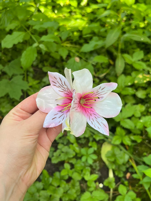 BLUSH INCALILY HAARKLAMMER